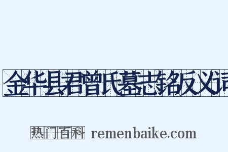 金华县君曾氏墓志铭反义词是什么意思的图片